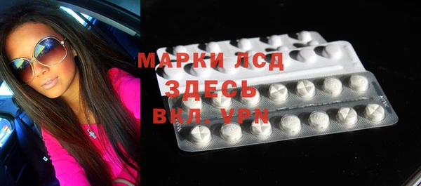 индика Арсеньев
