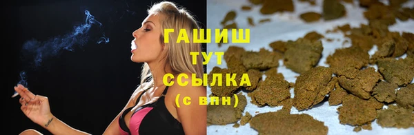 индика Арсеньев