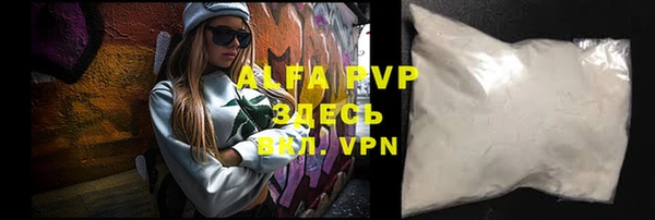 индика Арсеньев