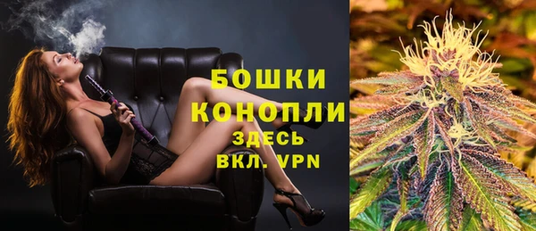 индика Арсеньев