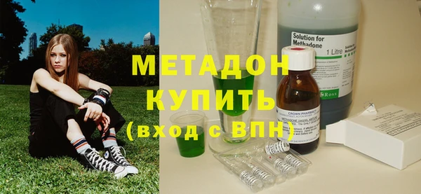 индика Арсеньев