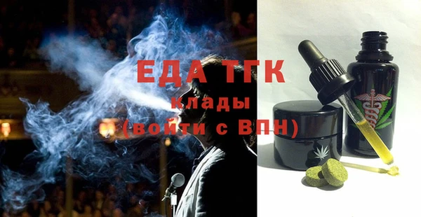 индика Арсеньев
