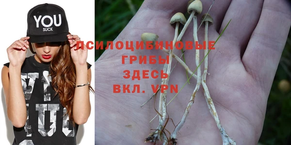 индика Арсеньев