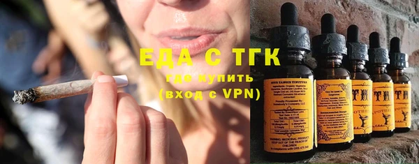 индика Арсеньев