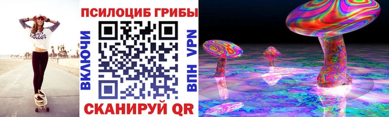 купить наркотик  Ахтубинск  Псилоцибиновые грибы MAGIC MUSHROOMS 